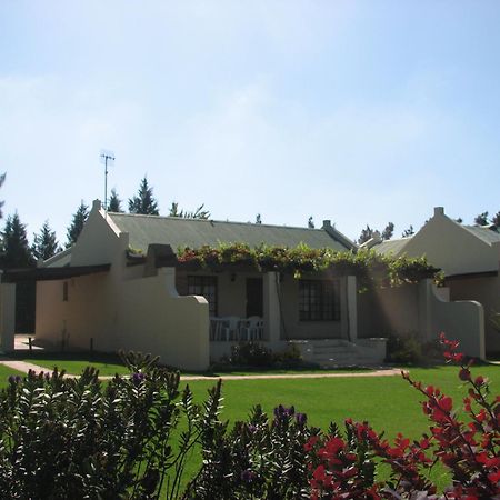 Skilpadvlei Wine Farm Стелленбос Номер фото