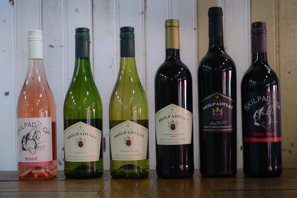Skilpadvlei Wine Farm Стелленбос Экстерьер фото