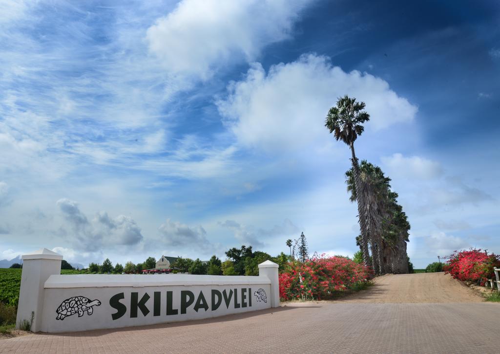 Skilpadvlei Wine Farm Стелленбос Экстерьер фото