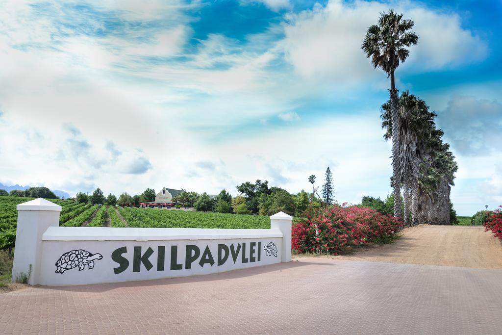 Skilpadvlei Wine Farm Стелленбос Экстерьер фото